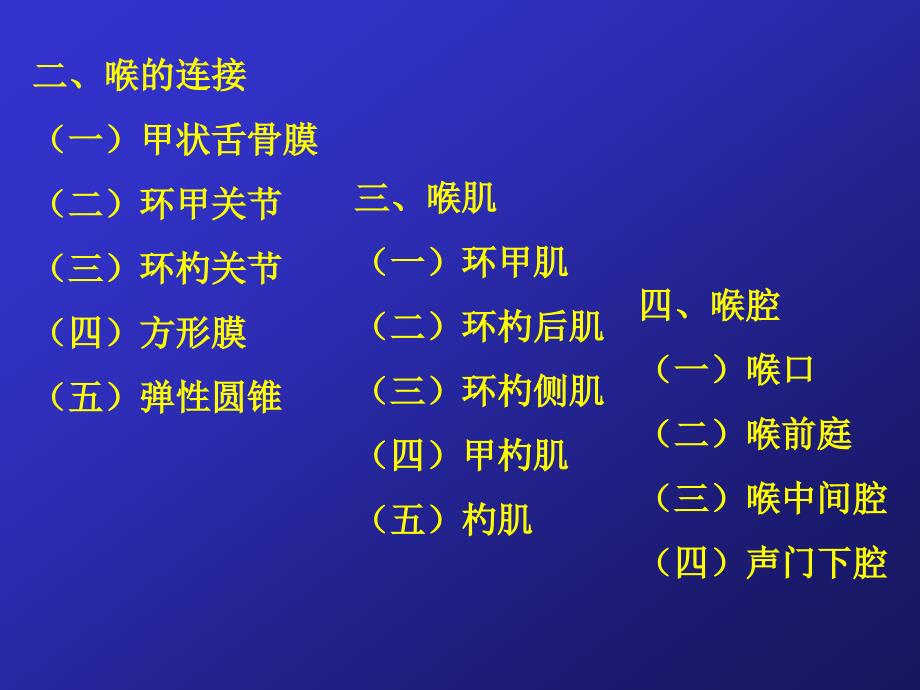 人体解剖学：5.呼吸系统_第4页