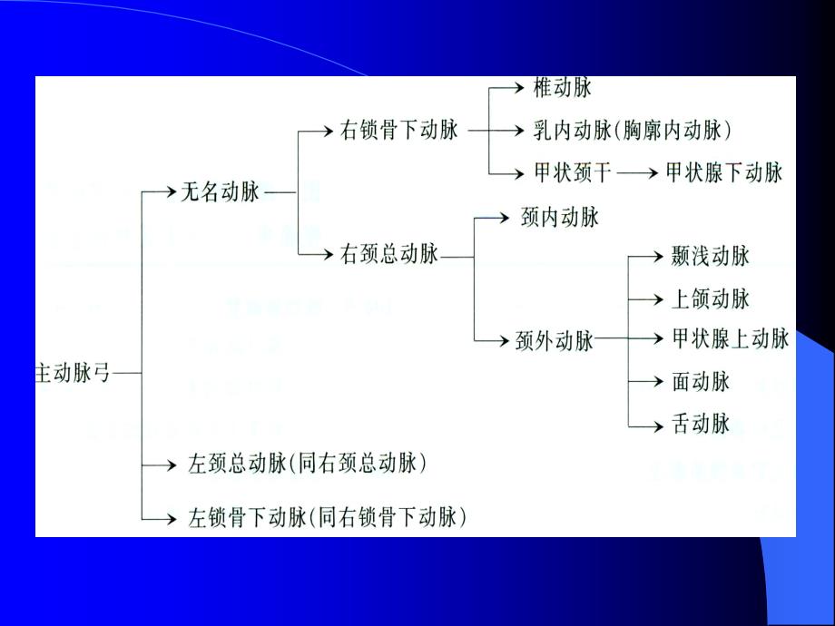 颈动脉超声检查及诊断标准_第3页