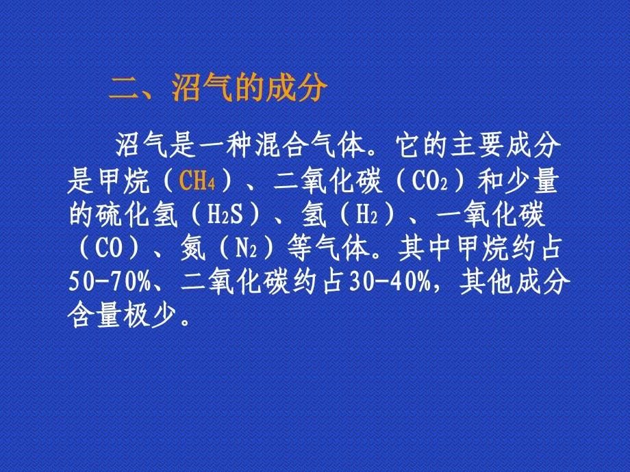 农村沼气技术培训_第5页