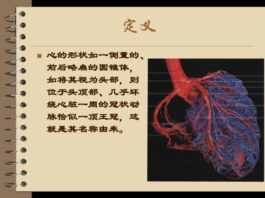 最新左冠状动脉解剖ppt课件PPT文档_第1页