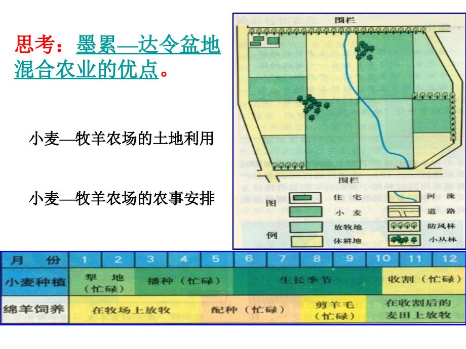 3.1.2《农业的区位选择》_第4页