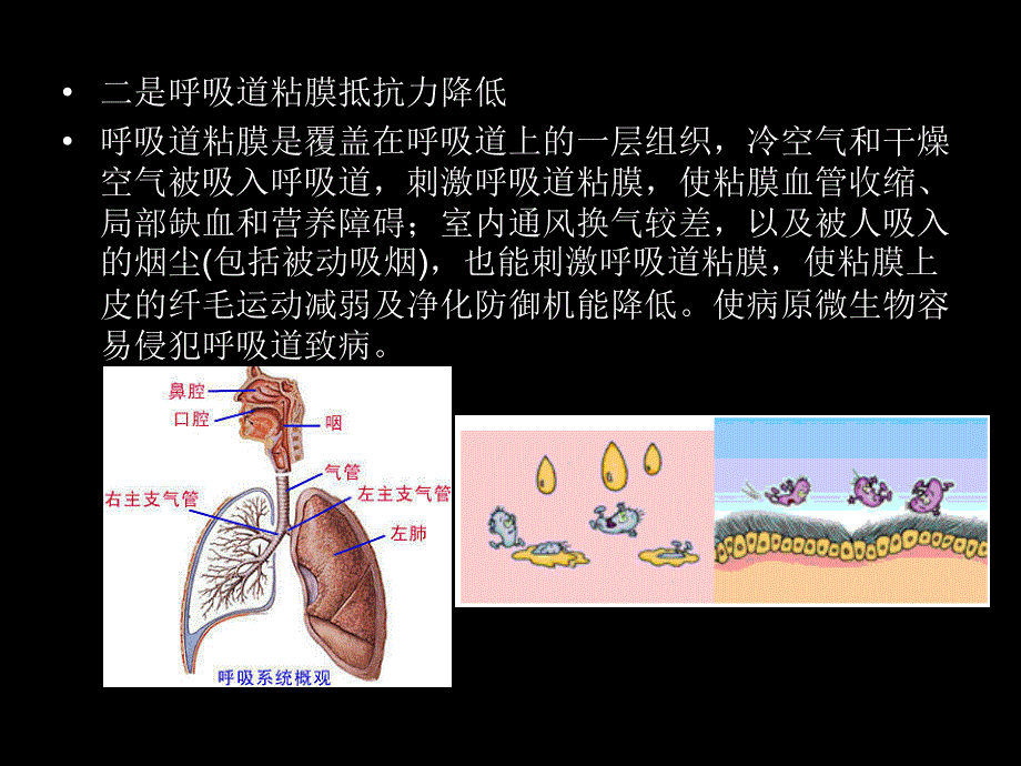 学校学生冬春季常见传染病预防知识课件ppt资料_第3页