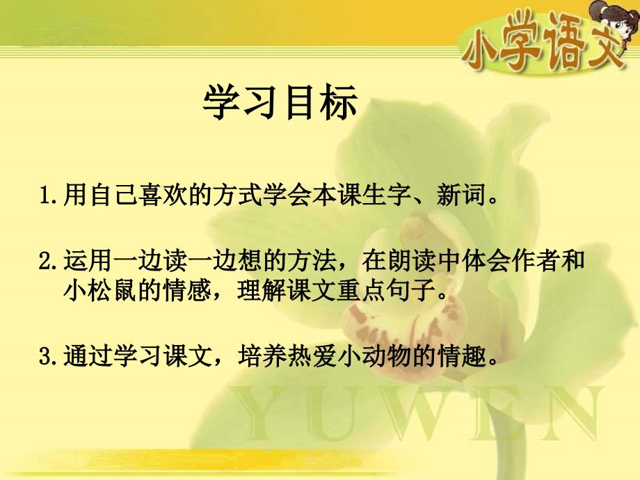 湘教版四年级语文上册那只松鼠课件_第2页