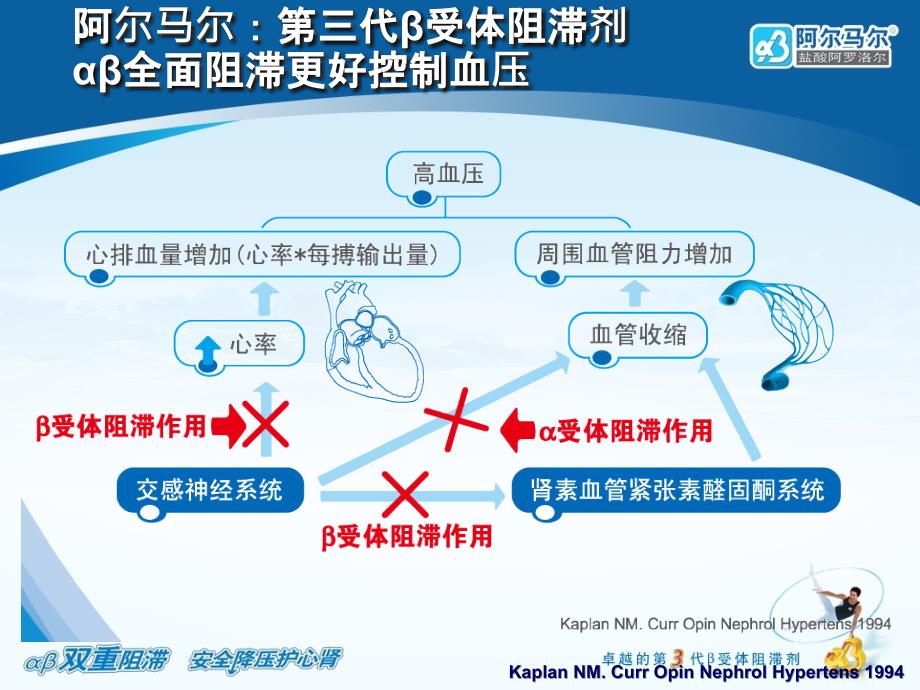 阿尔马尔高血压篇科室会ppt课件_第4页