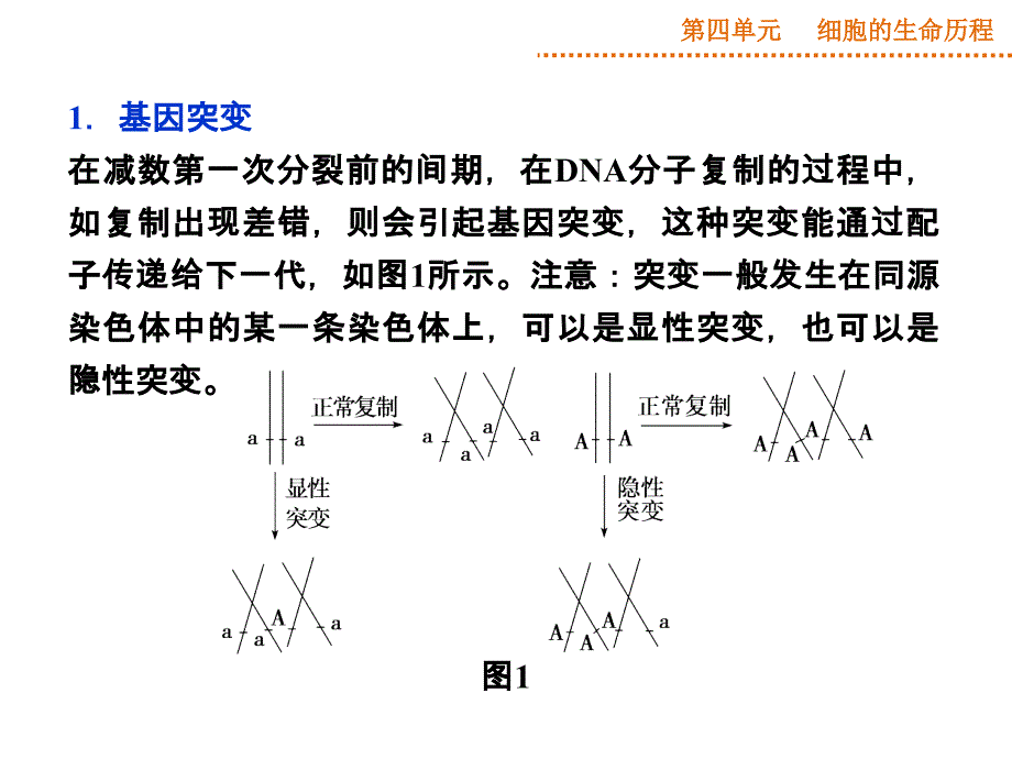 减数分裂中的异常行为_第2页