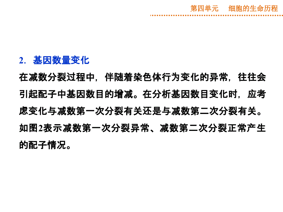 减数分裂中的异常行为_第3页