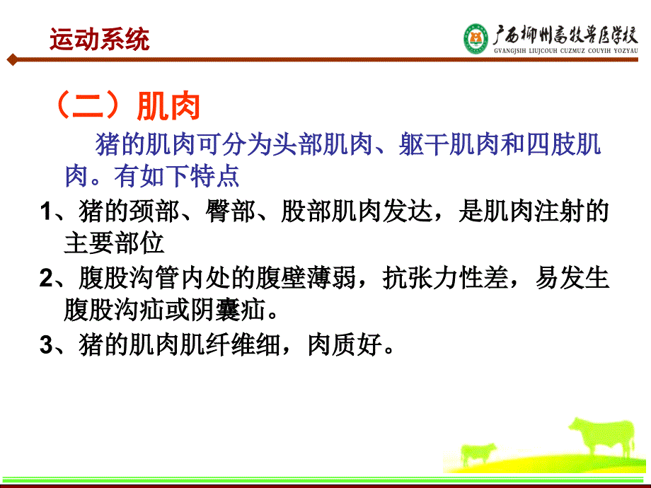 第十章猪的解剖生理特征_第3页