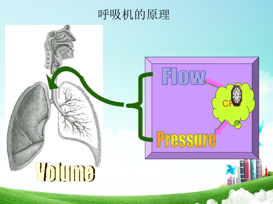 《呼吸机使用》PPT课件.ppt_第3页