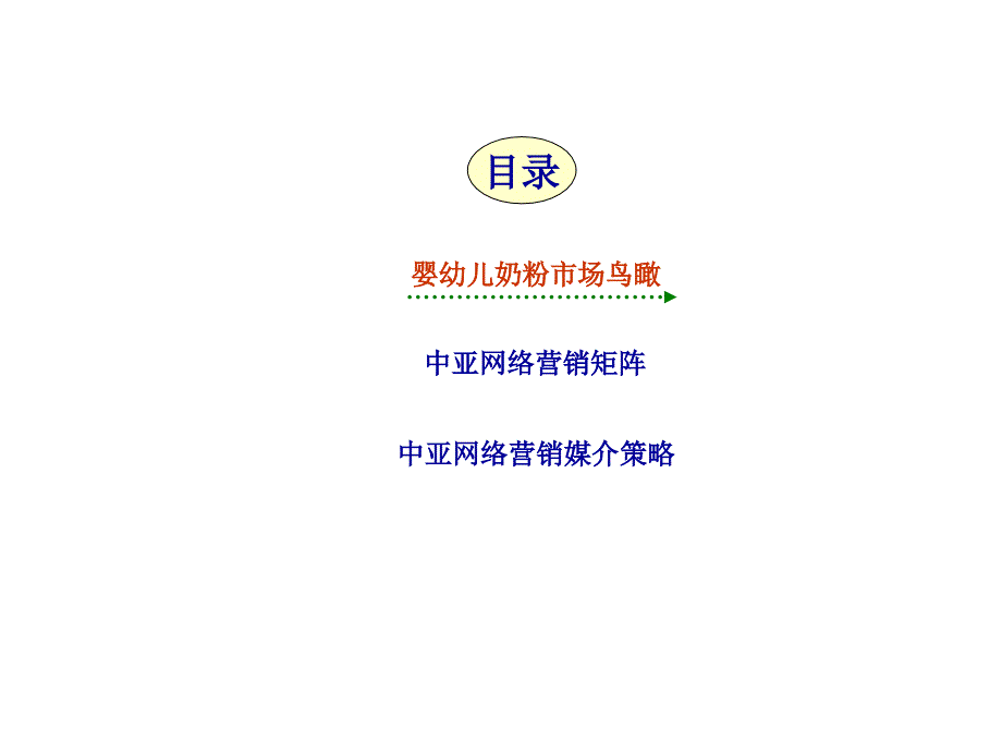 奶粉网络营销推广建议方案_第3页