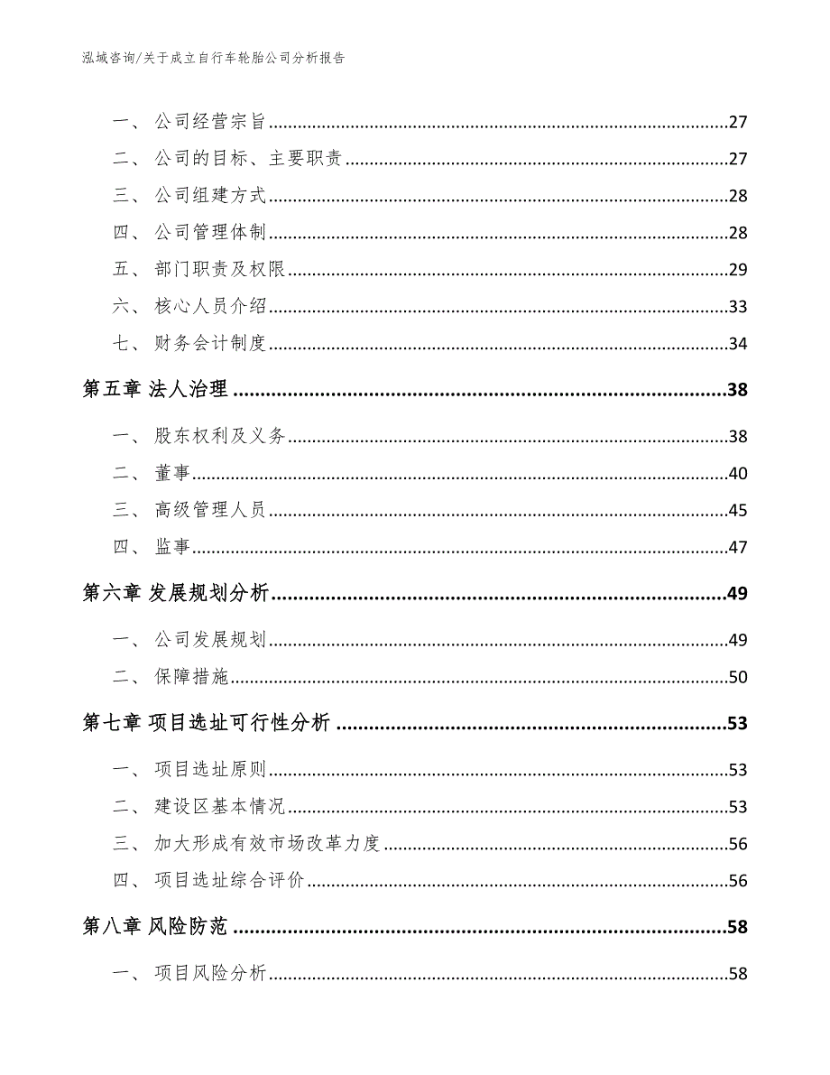 关于成立自行车轮胎公司分析报告_第3页