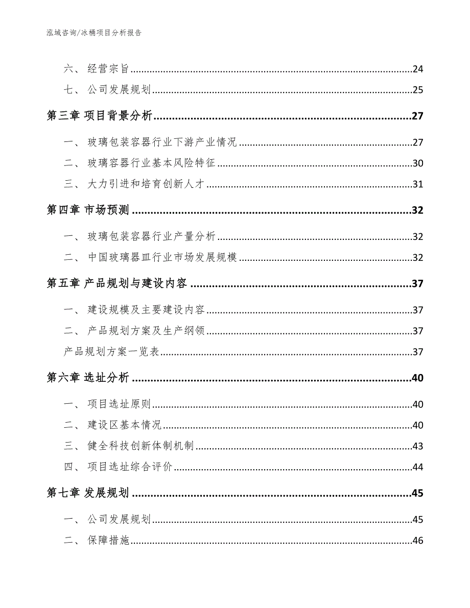 冰桶项目分析报告（参考范文）_第2页