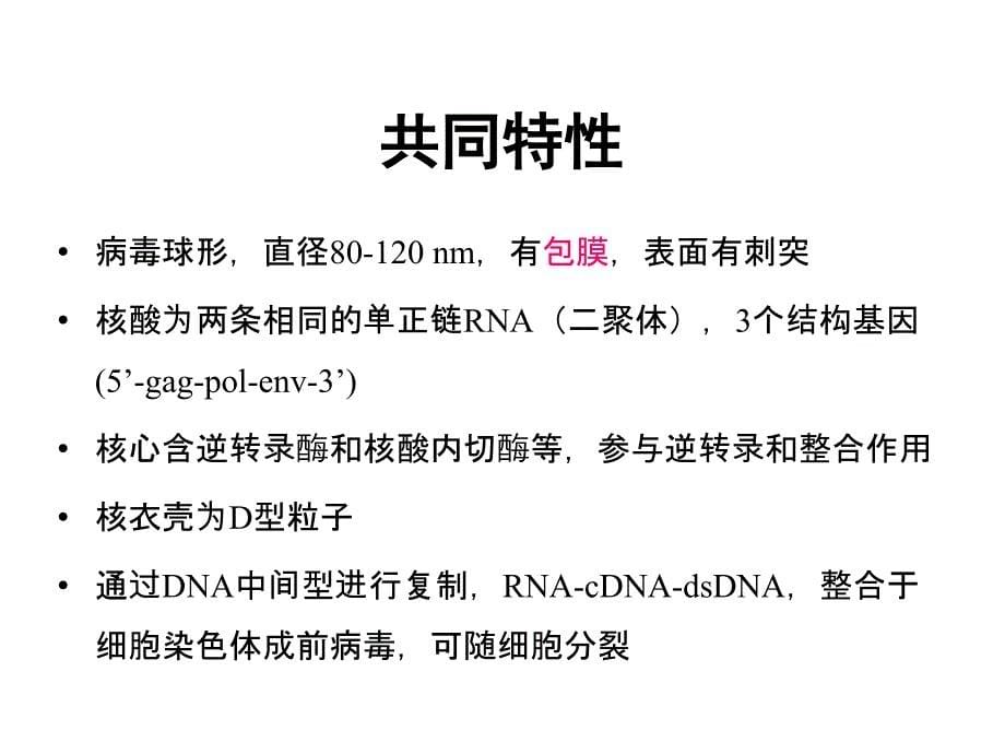 《医学微生物学》课件：10 HIV 人类免疫缺陷病毒_第5页