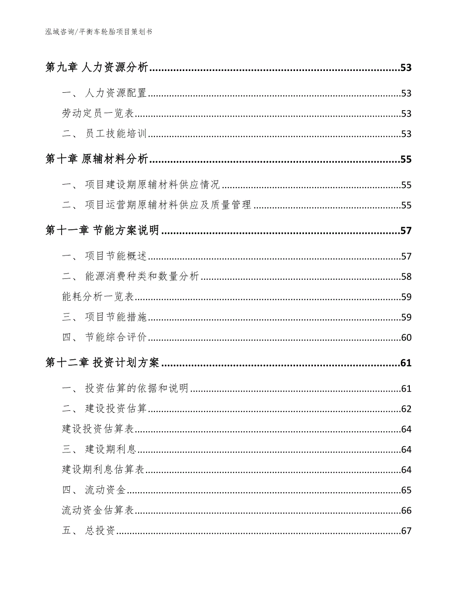 平衡车轮胎项目策划书_第5页