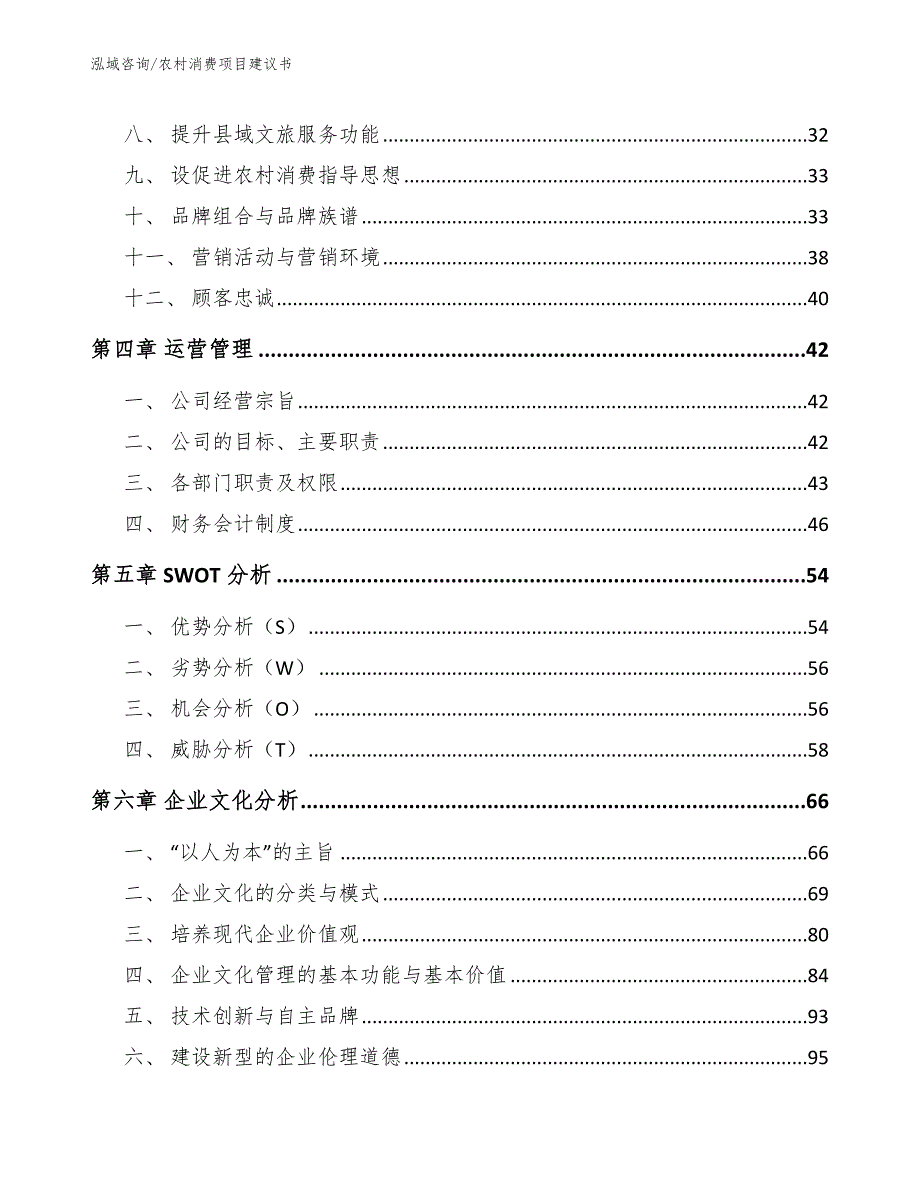 农村消费项目建议书参考模板_第2页