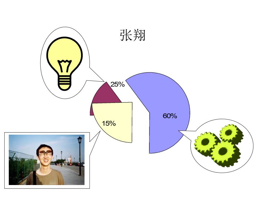 复杂系统的可视化与分析手段张翔_第1页