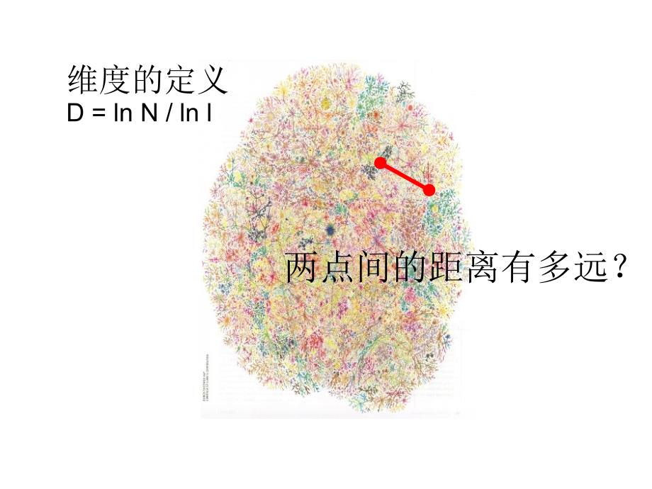 复杂系统的可视化与分析手段张翔_第4页