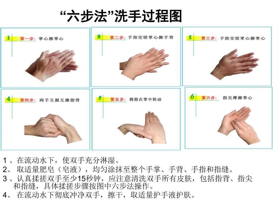 手卫生管理与多重耐耐药菌感染管理课件.ppt_第5页