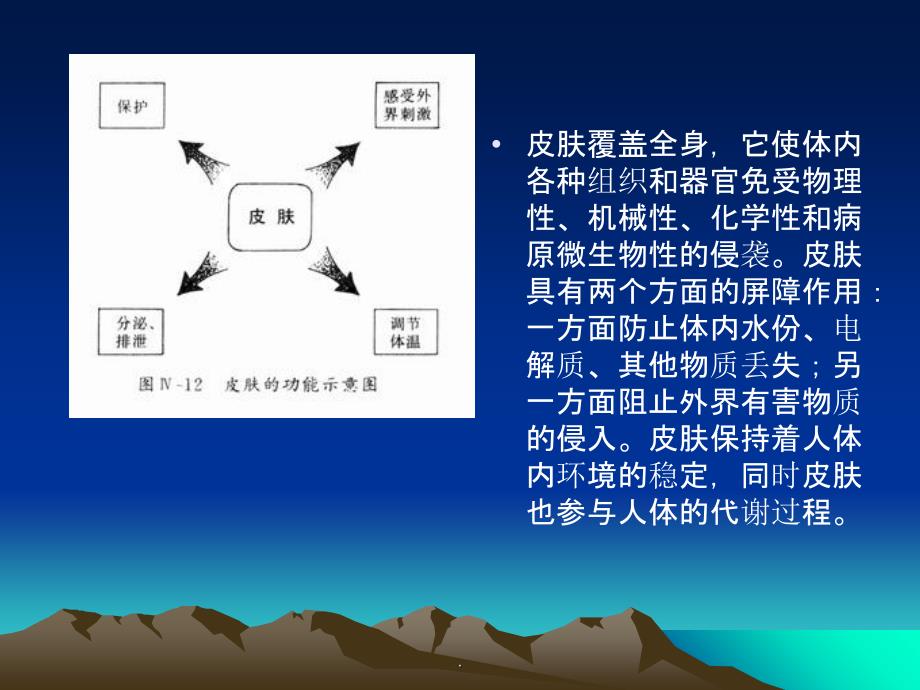 植皮术ppt课件_第3页