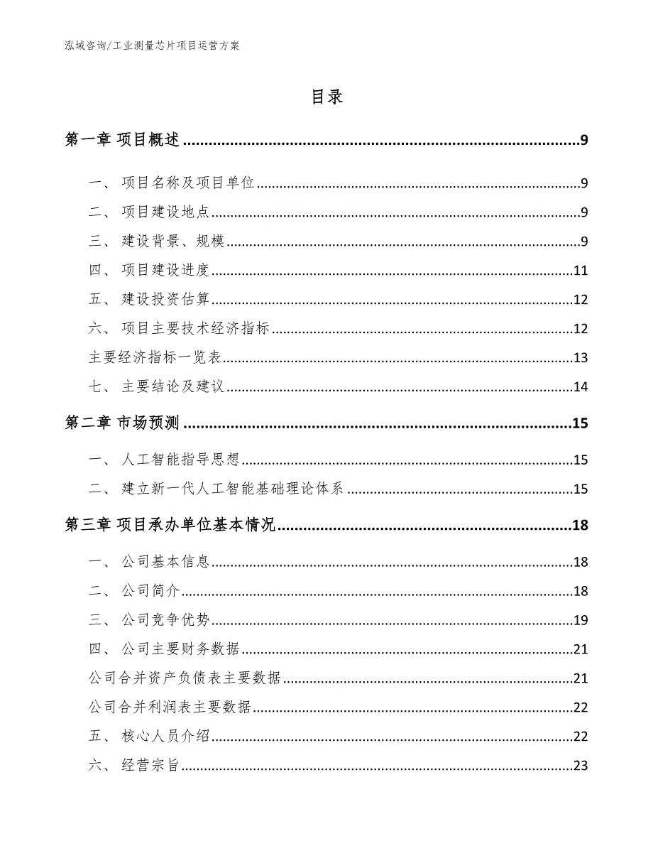 工业测量芯片项目运营方案_第2页