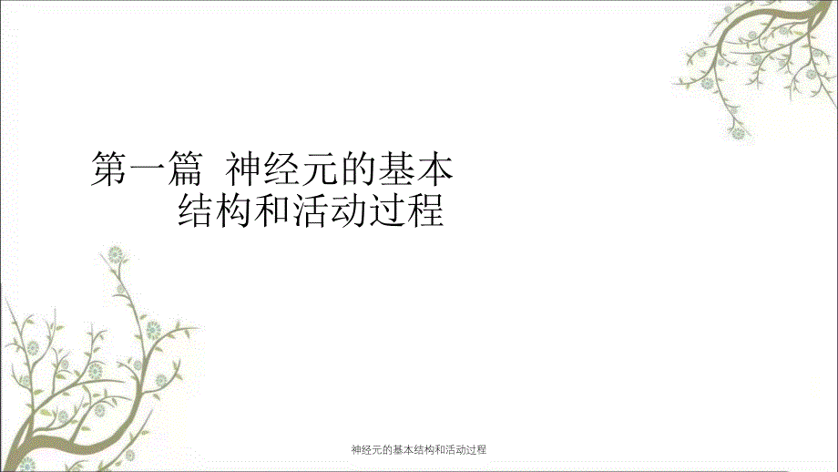 神经元的基本结构和活动过程_第1页