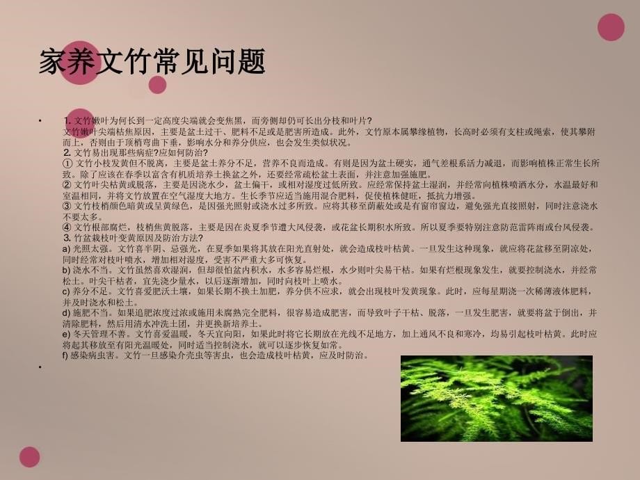 花的养殖方法_第5页