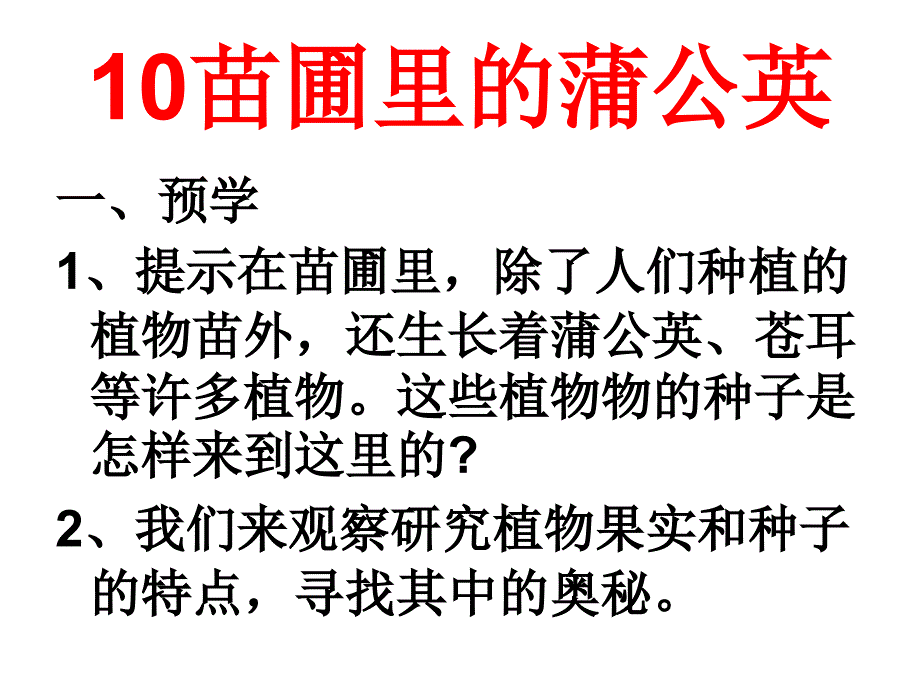 小学科学把种子散播到远处_第1页