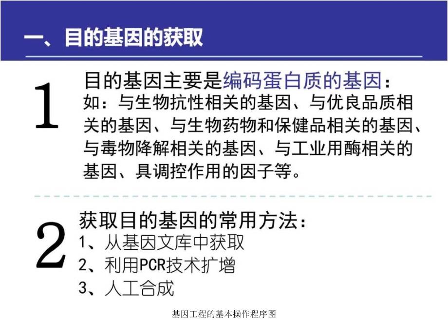 基因工程的基本操作程序图课件_第3页