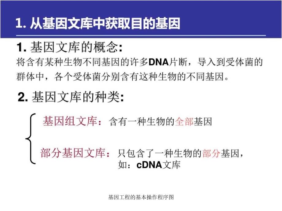 基因工程的基本操作程序图课件_第4页