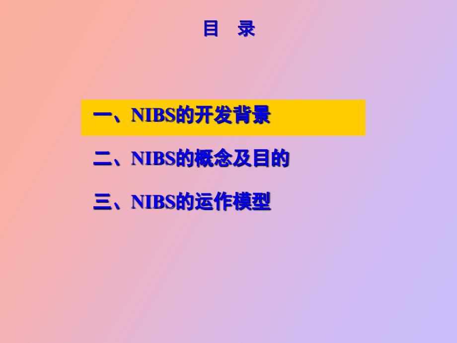 东风日产保险管家服务NIBS项目介绍_第2页