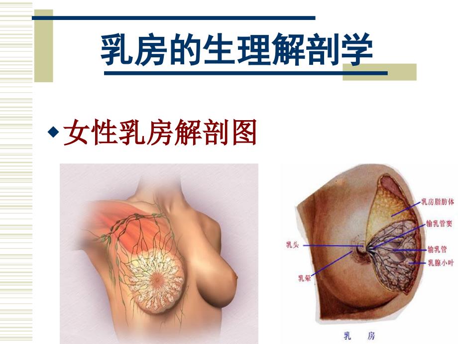 乳腺疾病科普知识_第2页