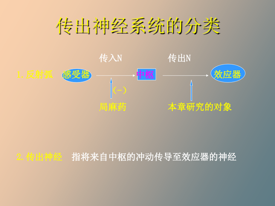 药理学作用于传出神经系统的药物_第3页