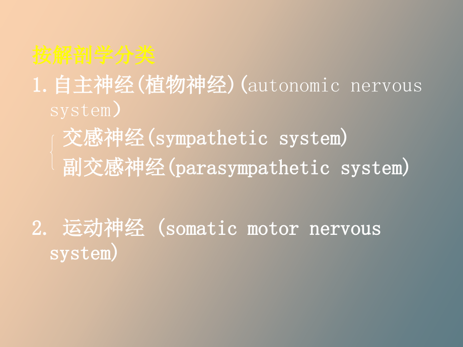 药理学作用于传出神经系统的药物_第4页