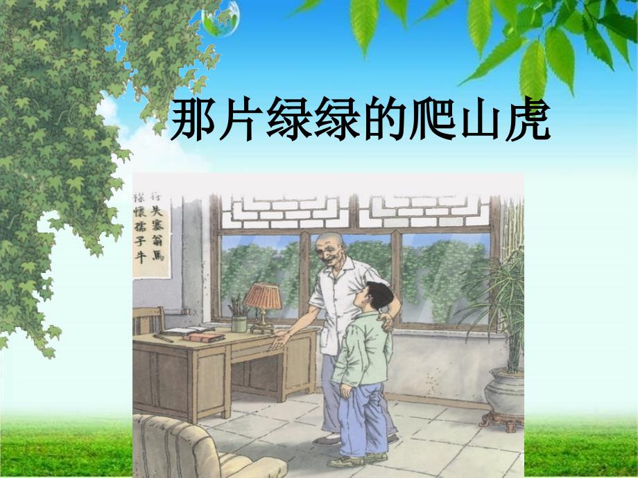 《那片绿绿的爬山虎》课件_第1页