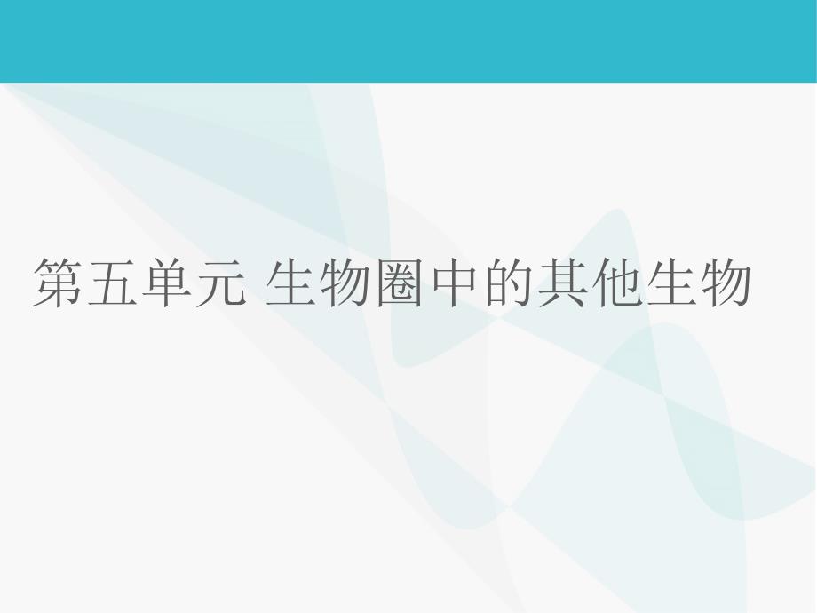 中考人教版生物第五单元生物圈中的其他生物复习课件共62张PPT1_第1页