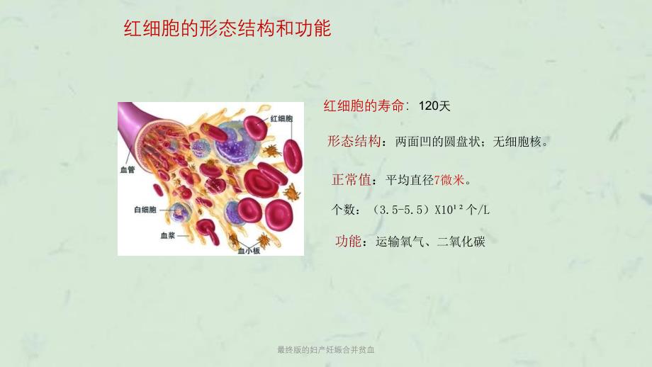 最终版的妇产妊娠合并贫血课件_第4页