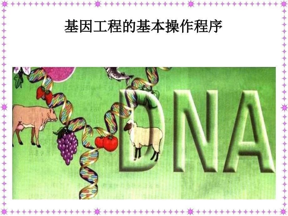 生物基因工程基本操作程序使用_第5页