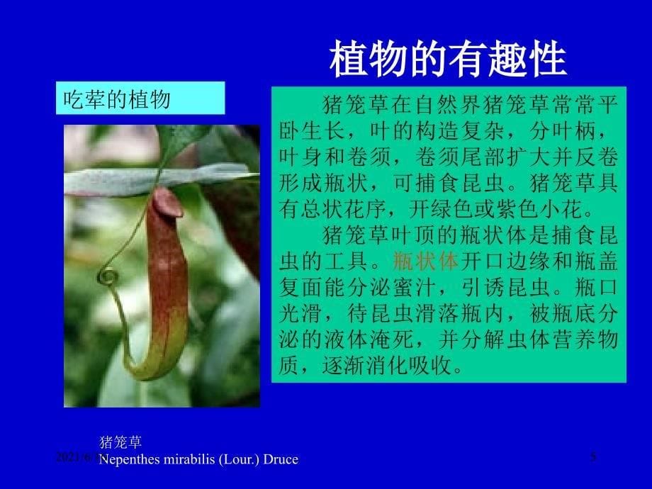 植物生理学绪论_第5页