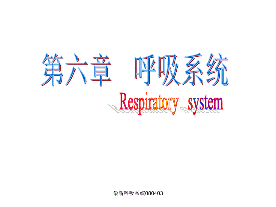 呼吸系统优质课件_第1页