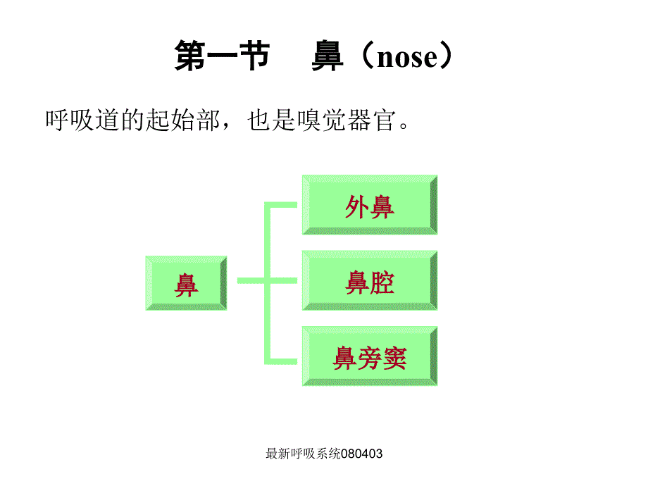 呼吸系统优质课件_第3页