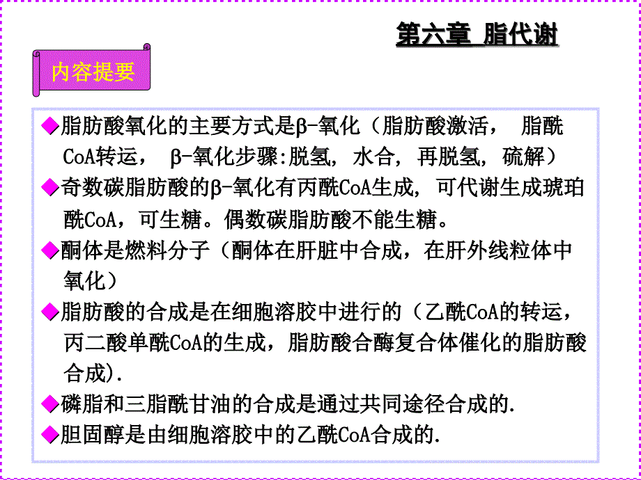 61糖代谢脂肪酸分解_第3页