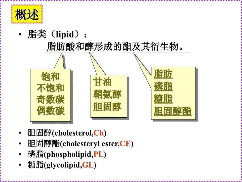 61糖代谢脂肪酸分解_第5页