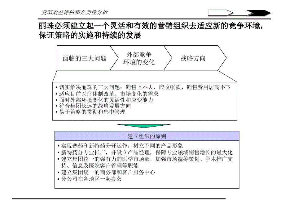 安盛丽珠战略2_第1页