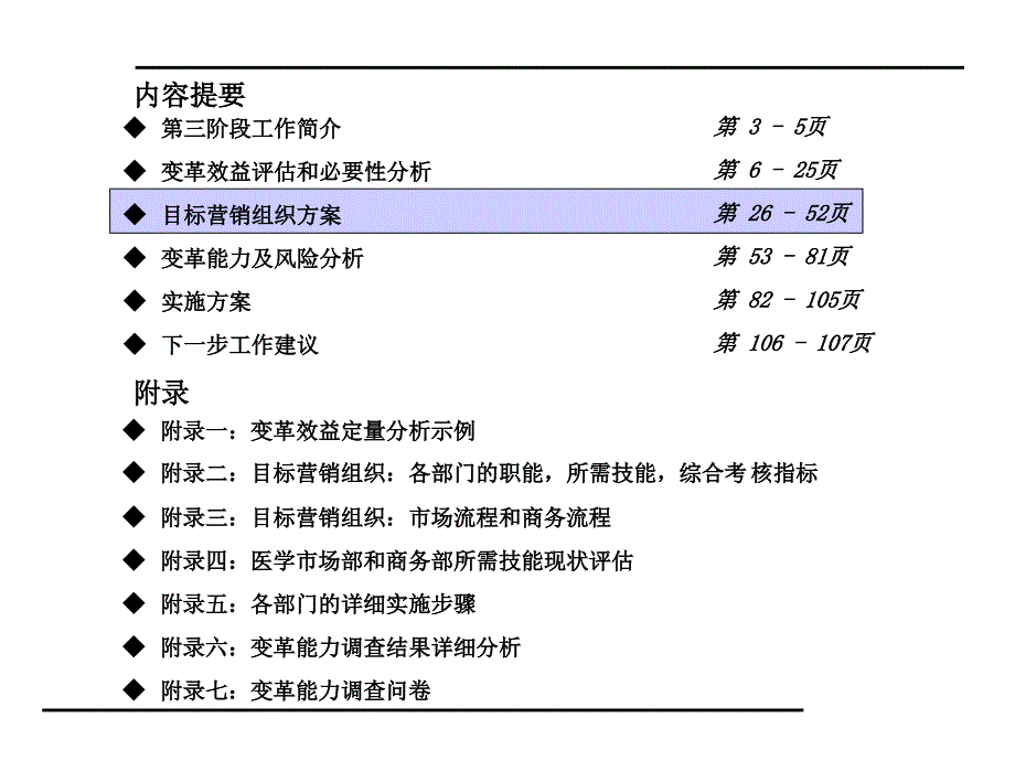 安盛丽珠战略2_第3页