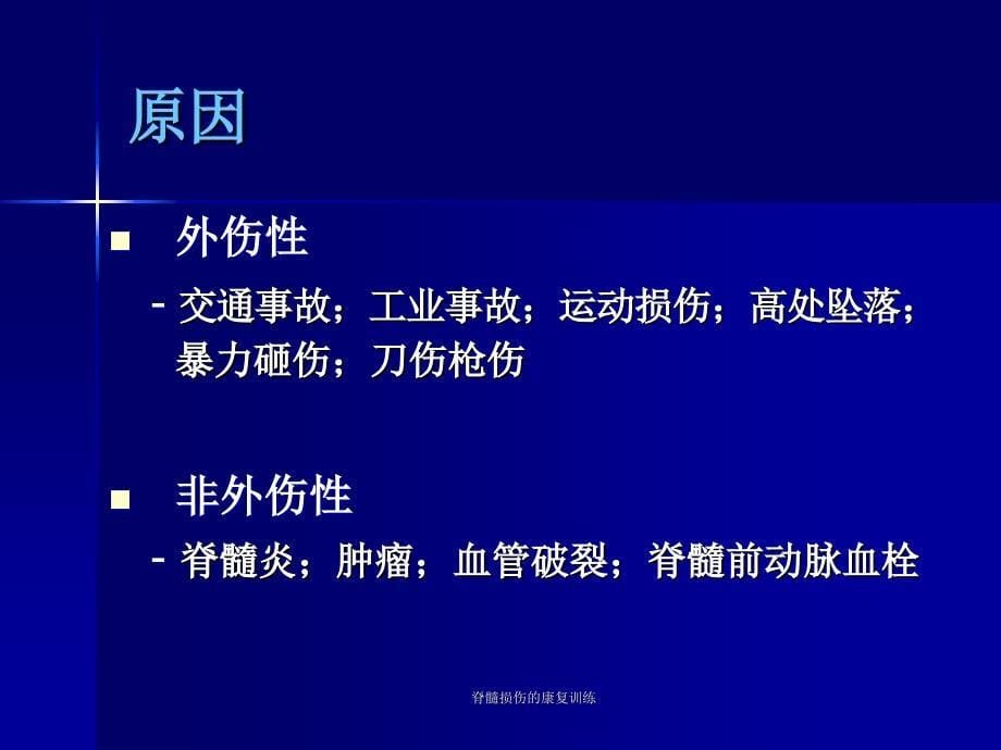 脊髓损伤的康复训练_第5页