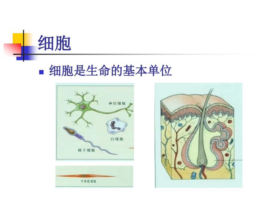 A3健康知识培训_第4页