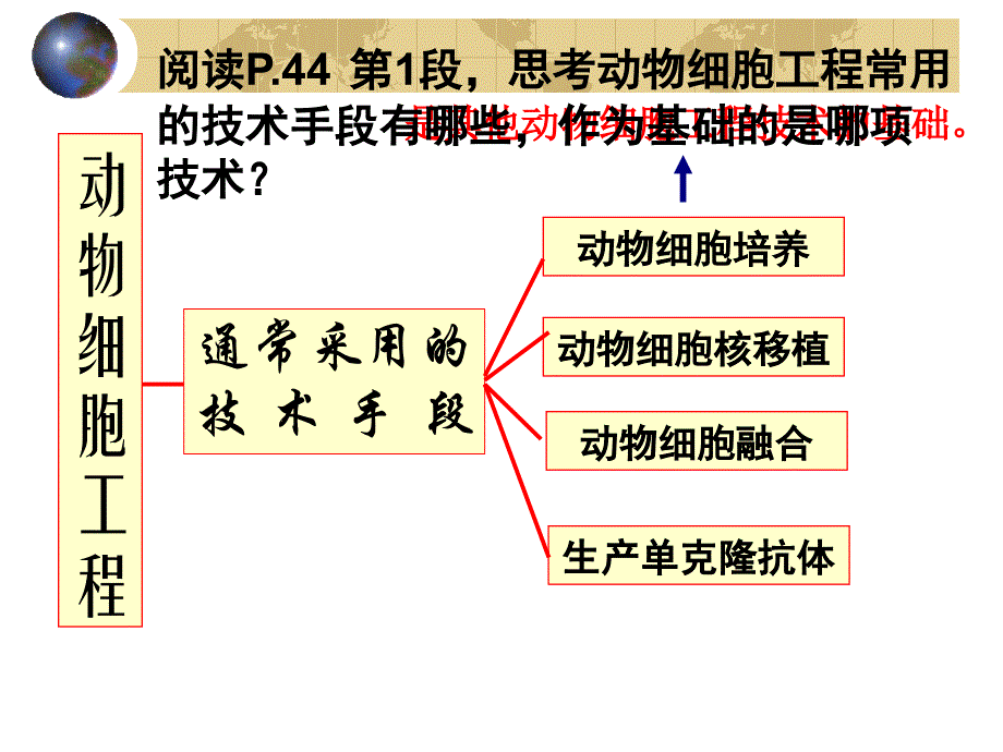 1动物细胞培养及核移植_第1页