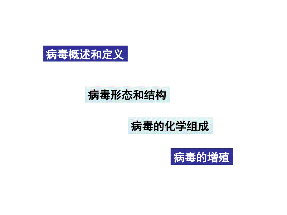 病原生物学基础：病毒的形态结构_第4页