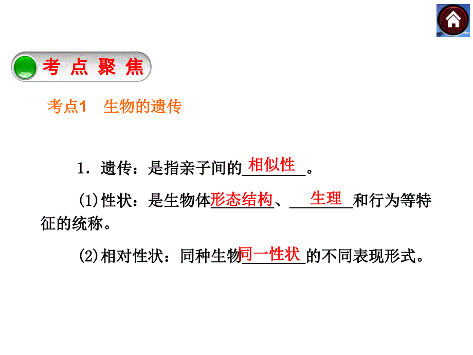 八下第二章生物的遗传和变异复习_第3页