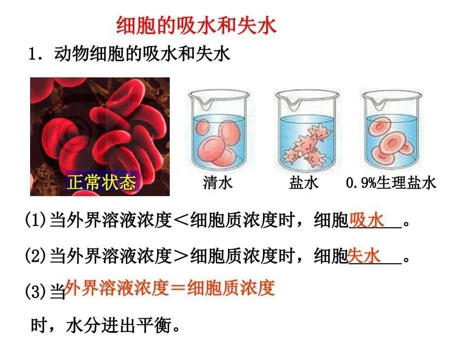 物质跨膜运输实例_第5页