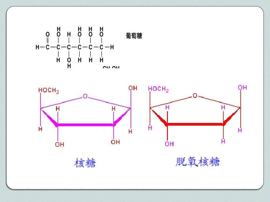 人教版教学课件必修一第二章第四节细胞中的糖和脂_第5页